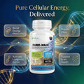 Nutriop® Pure-NMN 500mg - Advanced NAD+ Precursor (60 Capsules)